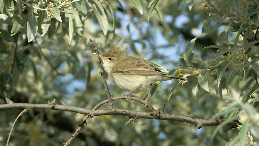 Vkulta-3852.jpg