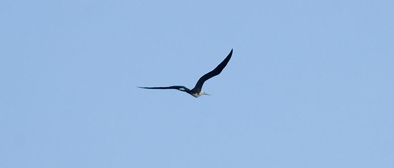 Fregatti-0671.jpg