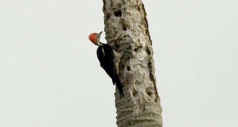 Palokarki-0093.jpg