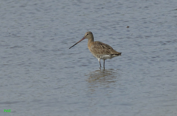 Mpkuiri-3898.jpg