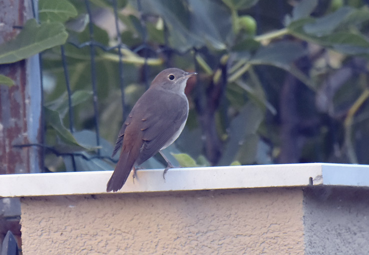 1307-Etsatku-7616.jpg