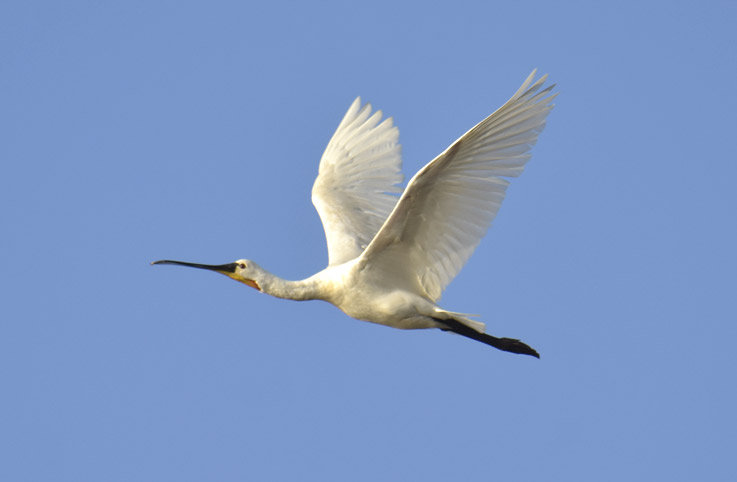 1407-Kapustahaikara-7854.jpg