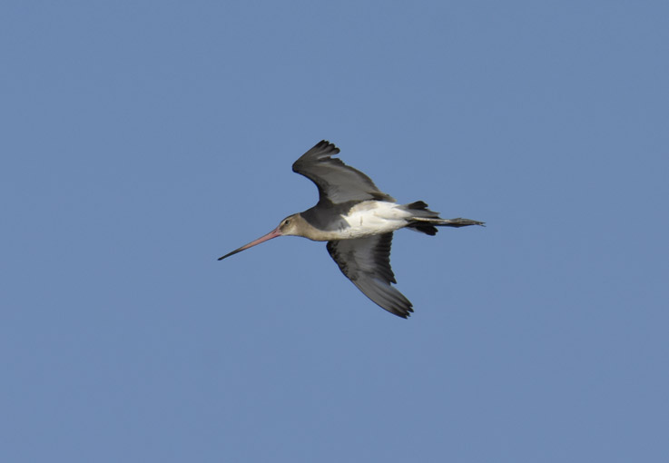 1207-Mpkuiri-7541.jpg