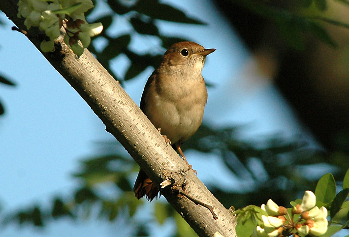 Etsatku-_6200.jpg