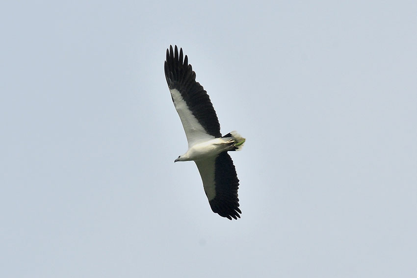 Valkomeri-8713.jpg