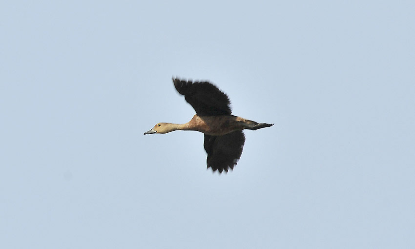 Vihelt-8605.jpg