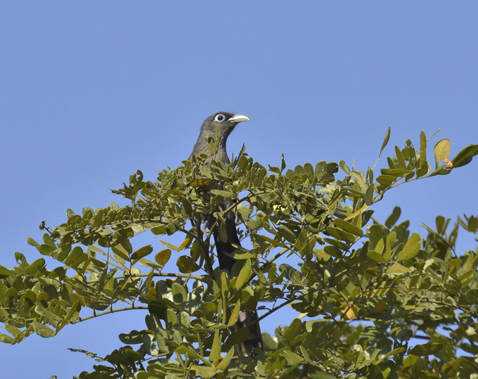 2101-mALKOHA-3893.jpg