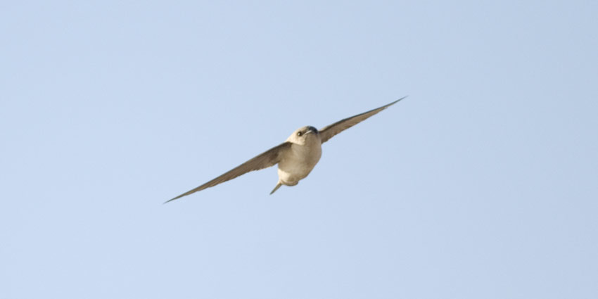 KP-9579.jpg