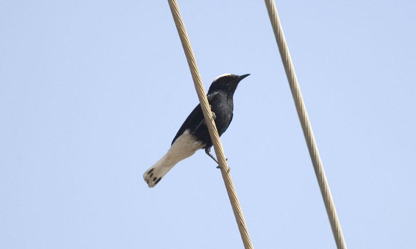 Kalottitasku_5634.jpg