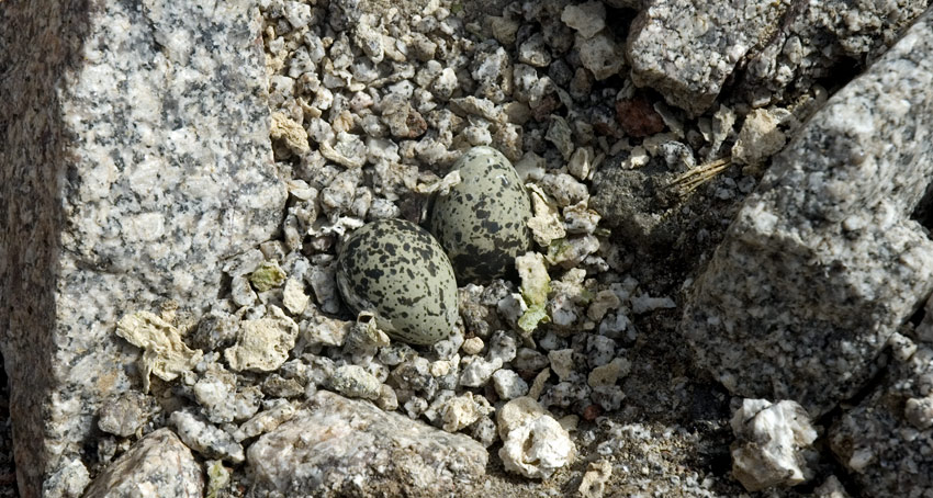 Hyyppa-_5640.jpg