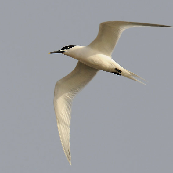 Riuttat-8467.jpg