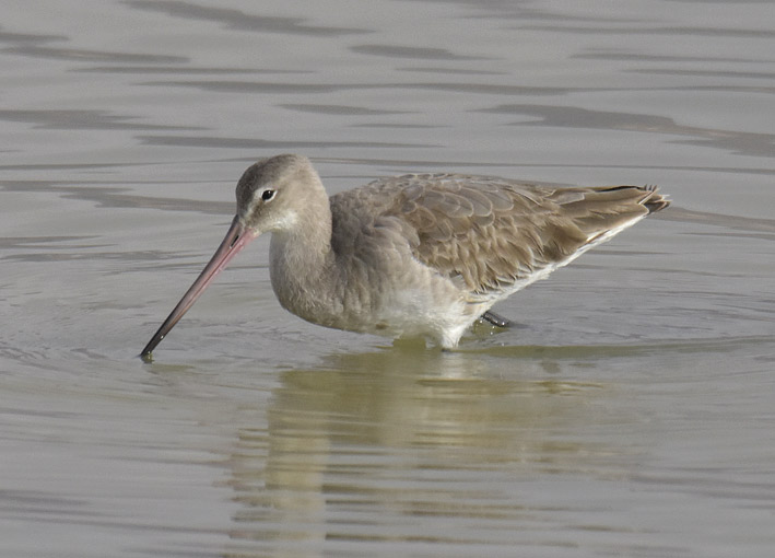 Mpkuiri-6874.jpg