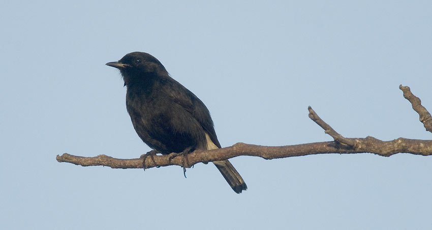 Tasku-8684.jpg