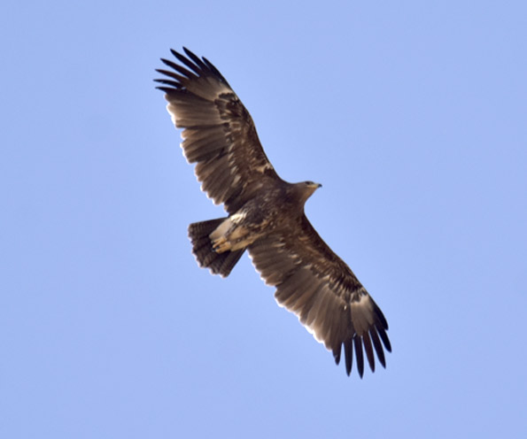 Kilju2-7560.jpg