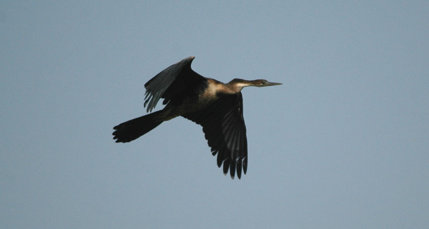 Afrkaarmek-141106_5895.jpg