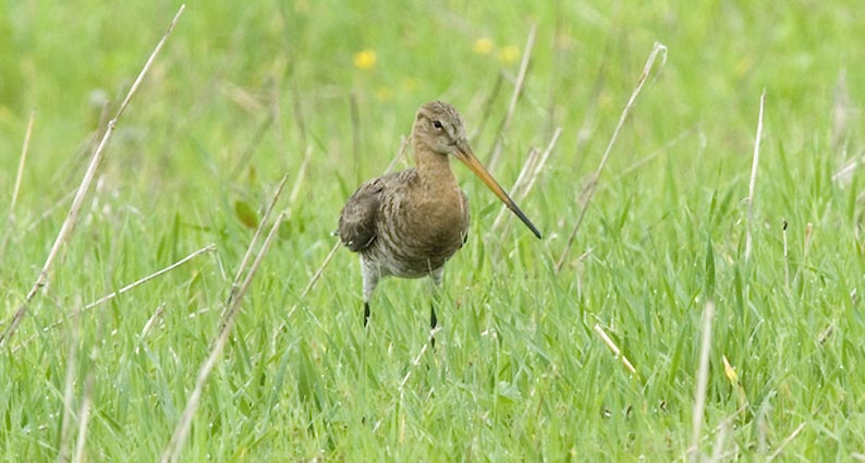 Mpkuiri-0578.jpg