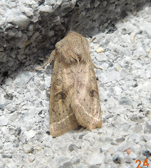 2404-Outo-9774.jpg
