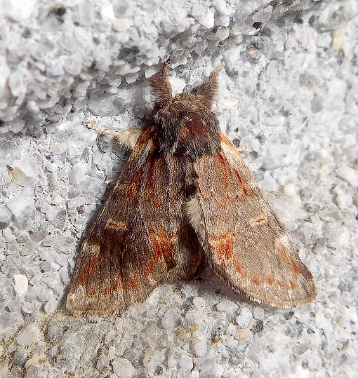 1208-Kyttyranirk-4681.jpg