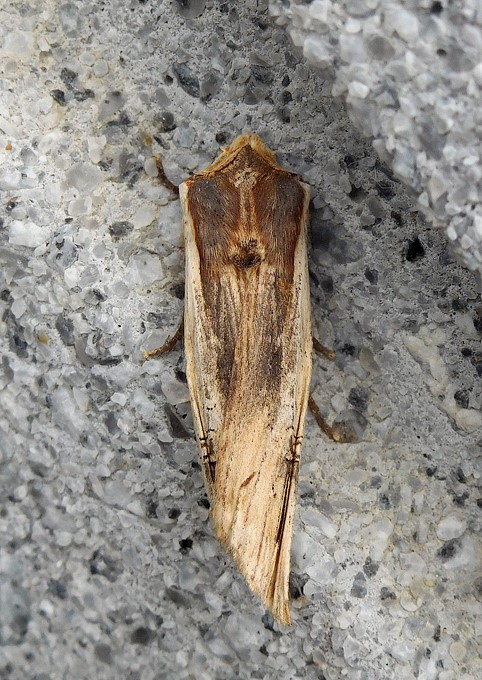 2004-Perho-9638.jpg
