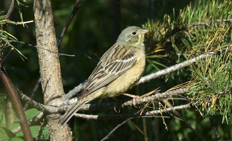 PS_2921.jpg